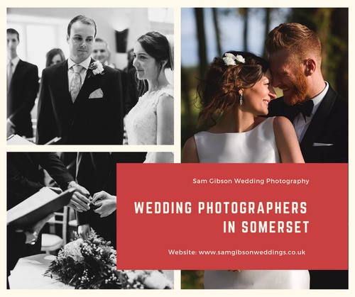Daniel Photo Pro: Capturing the Timeless Elegance of Your Wedding Day | TechPlanet