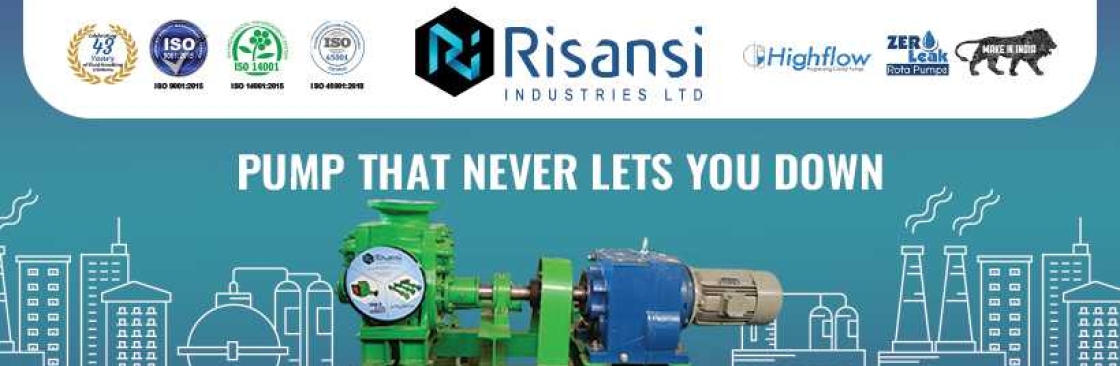 Risansi Industries Ltd Cover Image