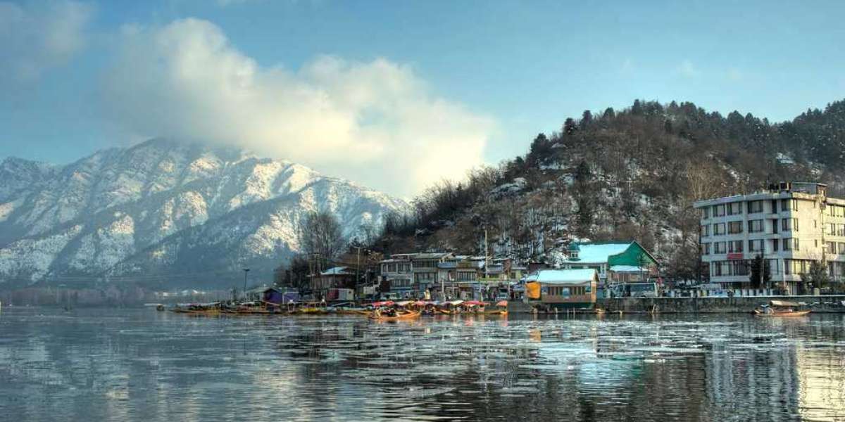 Srinagar Tours and Travels Service: Devza Tour and Travels