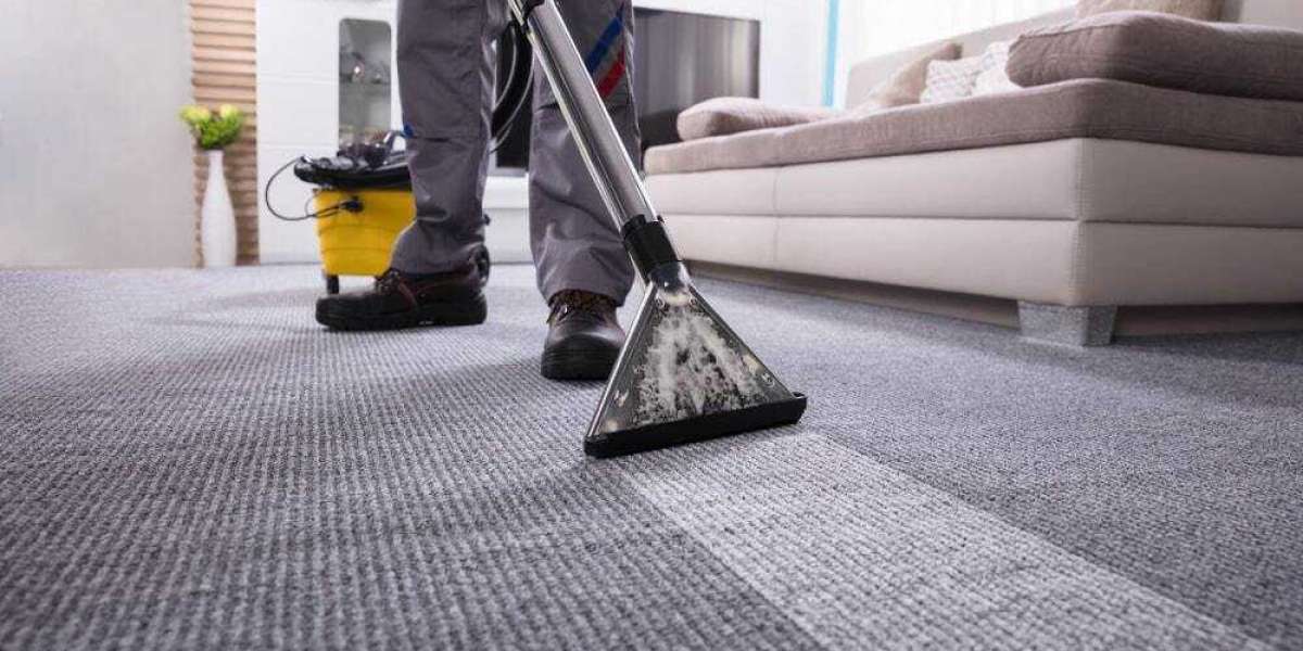 Why Carpet Cleaning Should Be a Priority for Home Wellness and Comfort