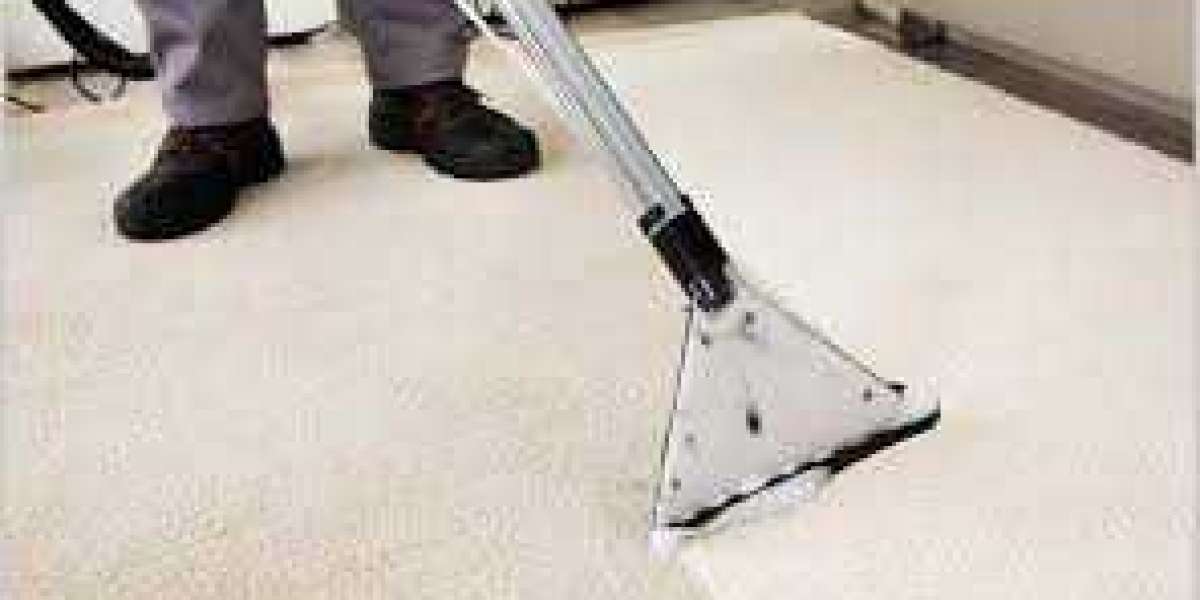 Boost Your Home’s Comfort with Professional Carpet Cleaning